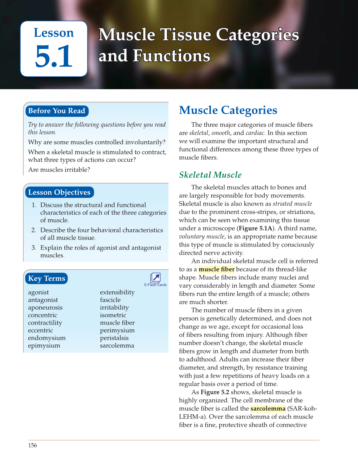 Introduction to Anatomy and Physiology, Online Student Edition page 156