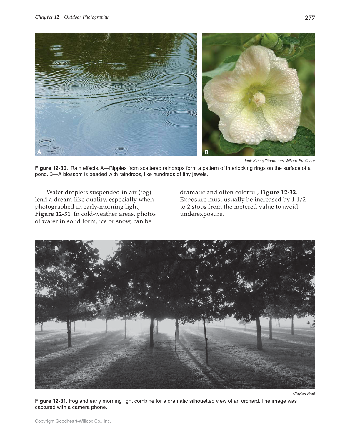 Photography Portfolio to Profession, 3rd Edition page 277