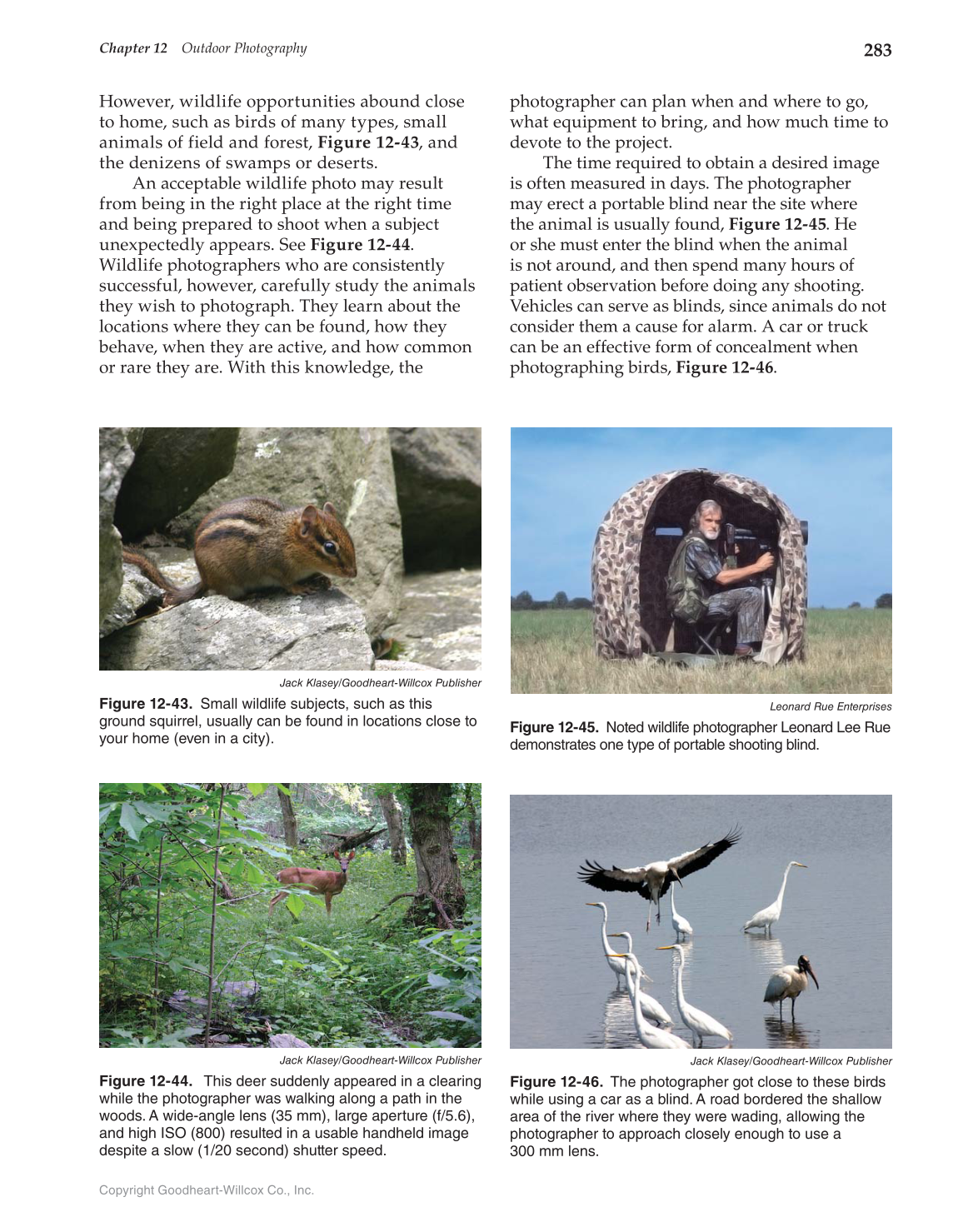 Photography Portfolio to Profession, 3rd Edition page 283