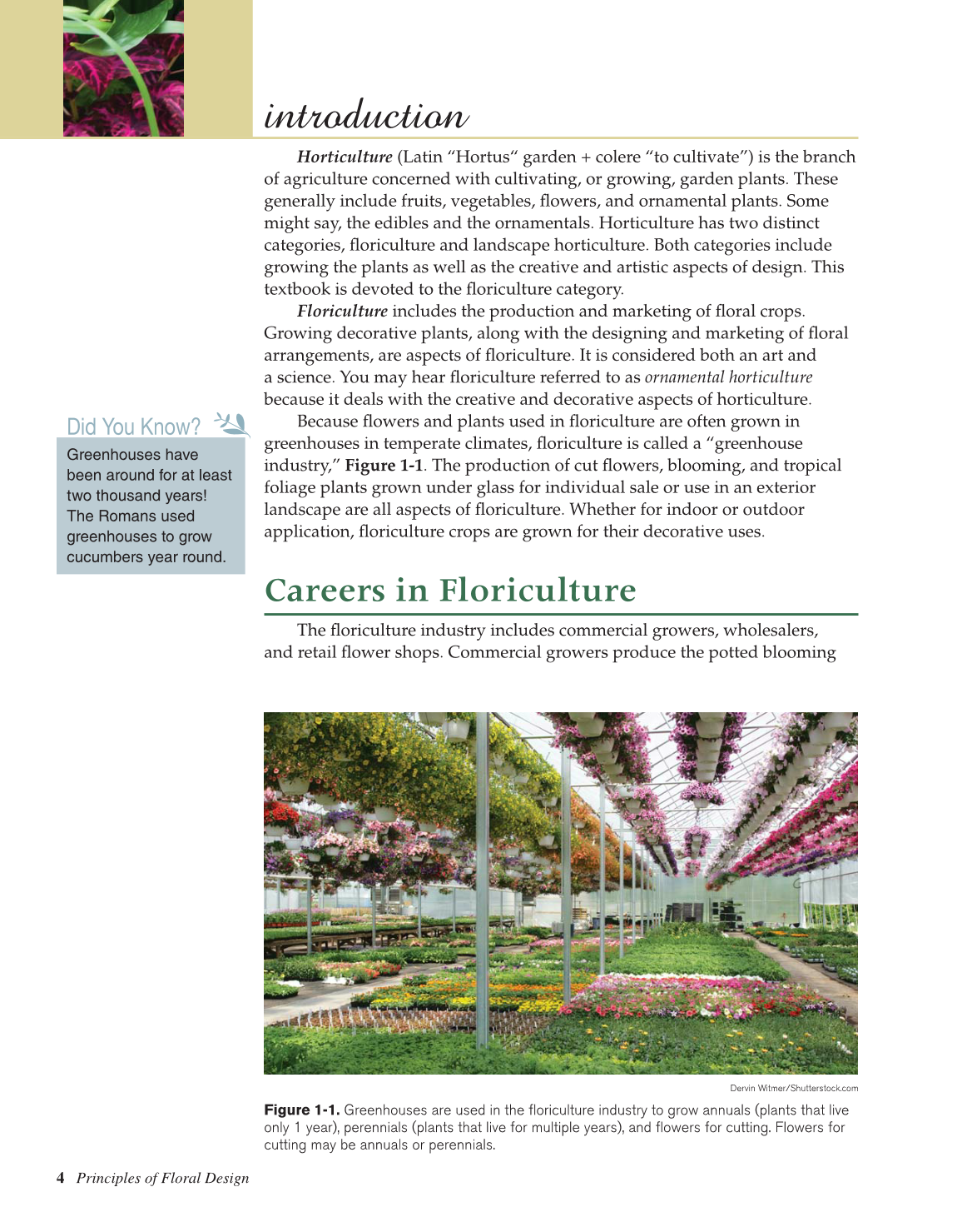 Principles of Floral Design, 1st Edition page 4