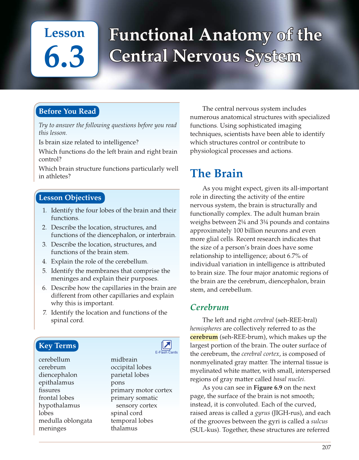 anatomy and physiology intro flash cards anatomy and physiology intro flash cards