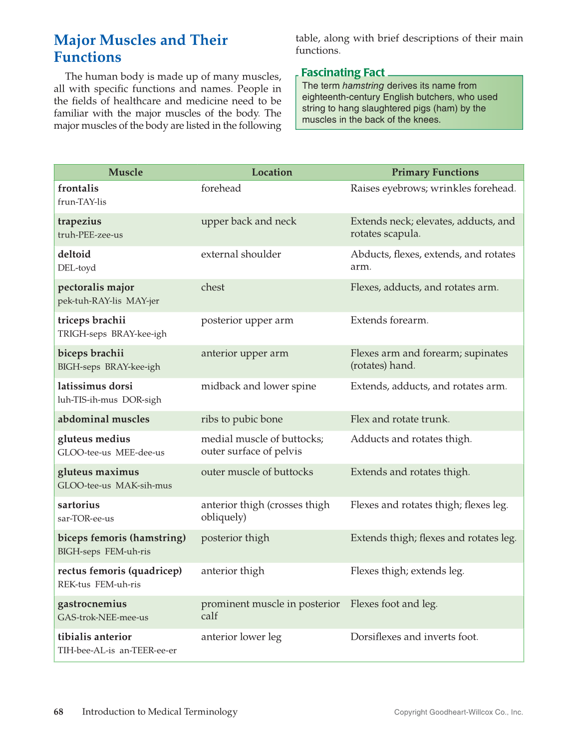 Od In Medical Terms Medical Terminology The Basics Lesson 1 YouTube / It could also mean